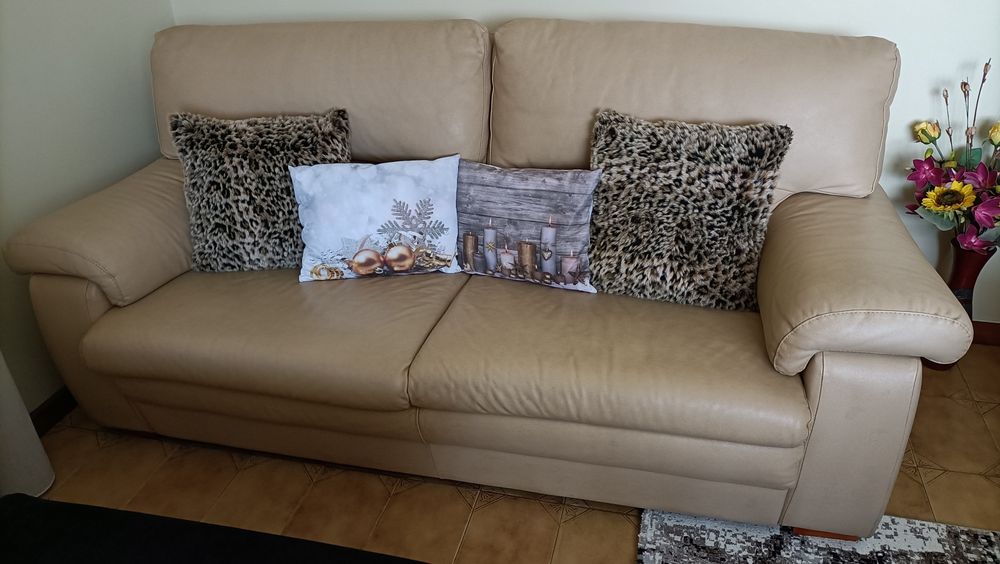 Sofás em pele genuína
