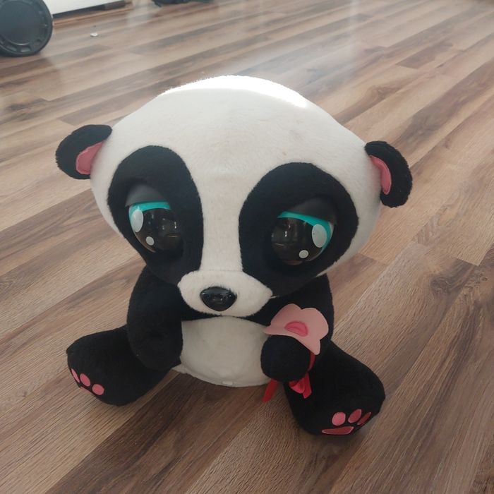 Panda interaktywna