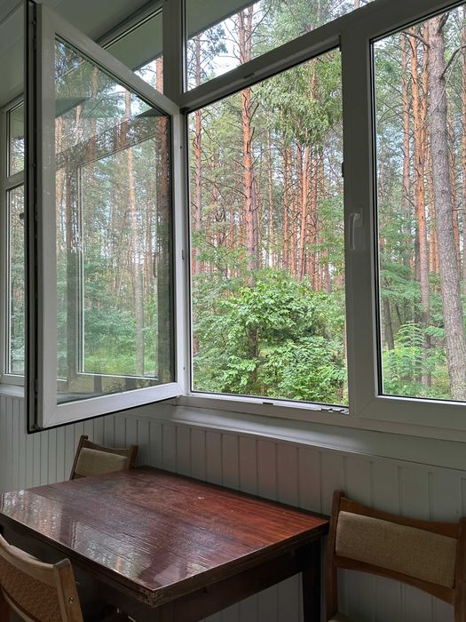 Будиночок у сосновому лісі біля Києва з мангалом і альтанкою