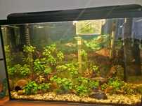 Akwarium 140 80x35x50