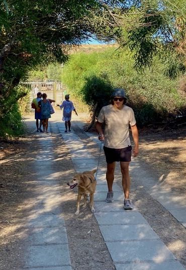 Happy Paws - Passeios fiáveis e seguros em Almada e Lisbon