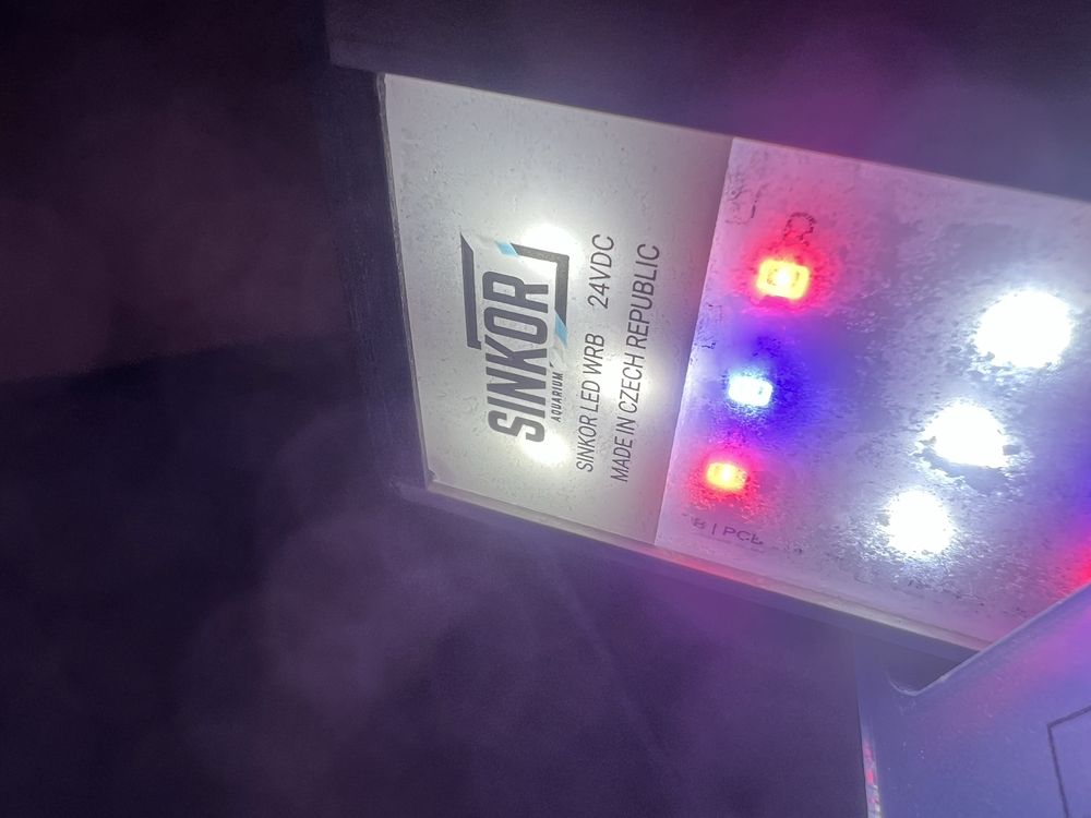 Sprzedam akwarium 660L z szafką – CO2, filtr, lampy, ryby i rośliny