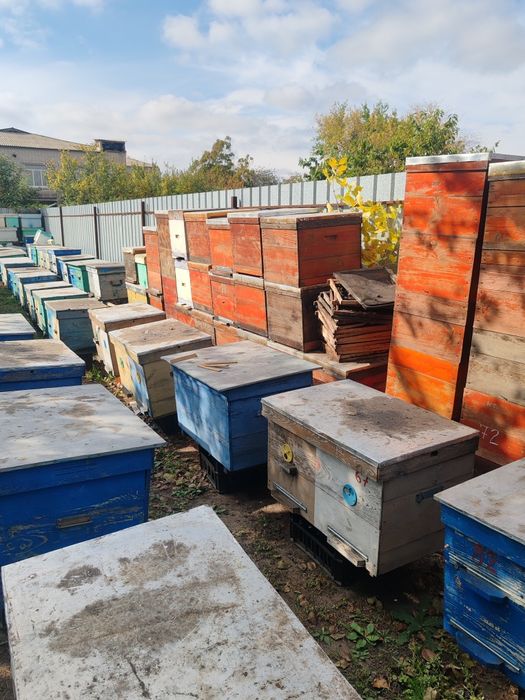 Вулики 10 рамочні