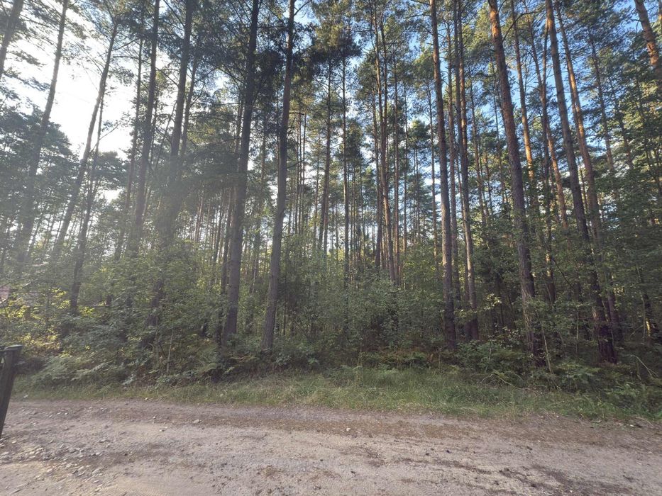 Działka budowlana Żarki Letnisko OKAZJA!!!