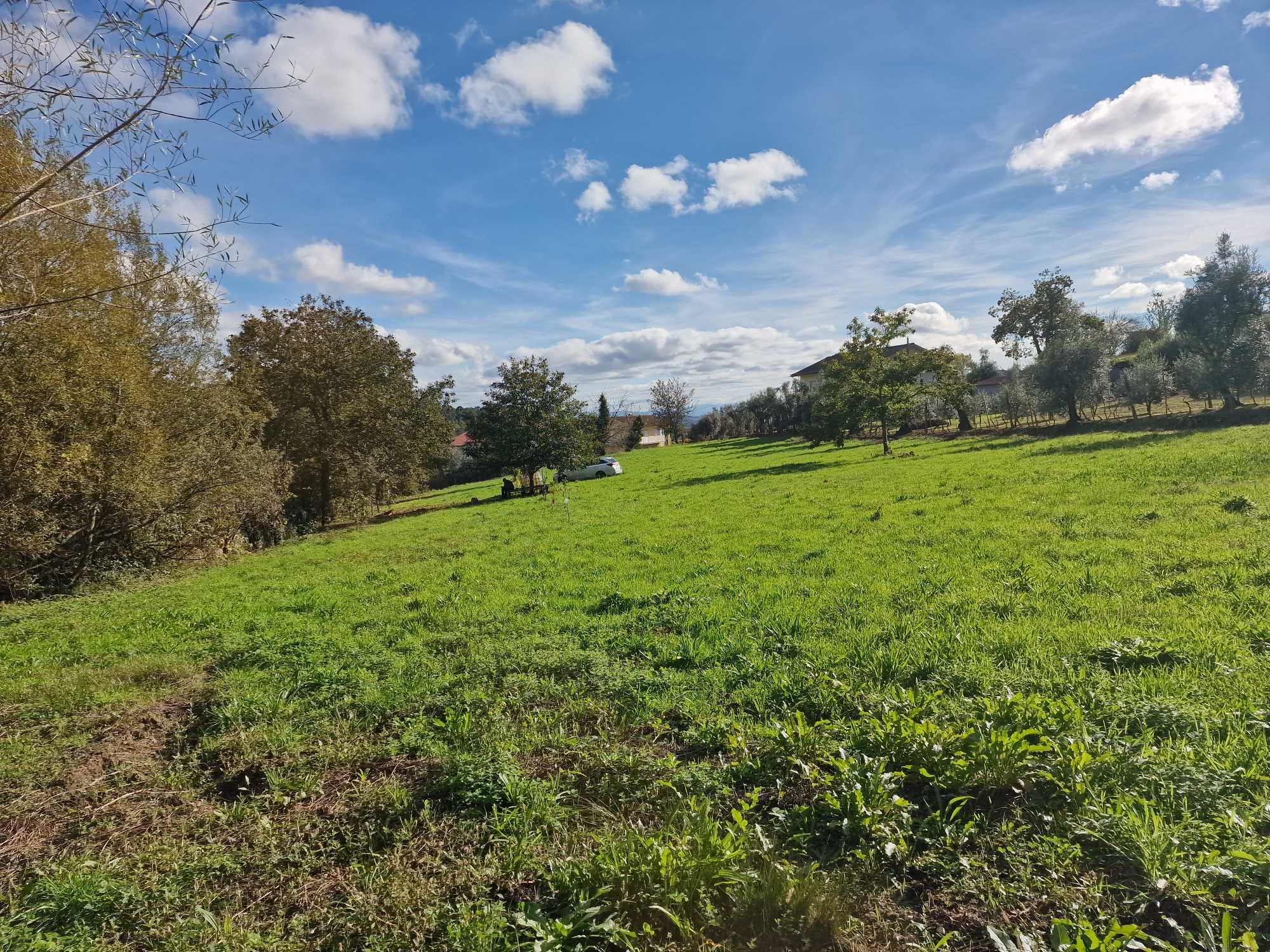 TERRENO À VENDA EM CAVERNÃES