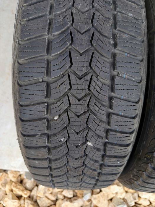 Opony zimowe Dębica Frigo 205/60 R 16