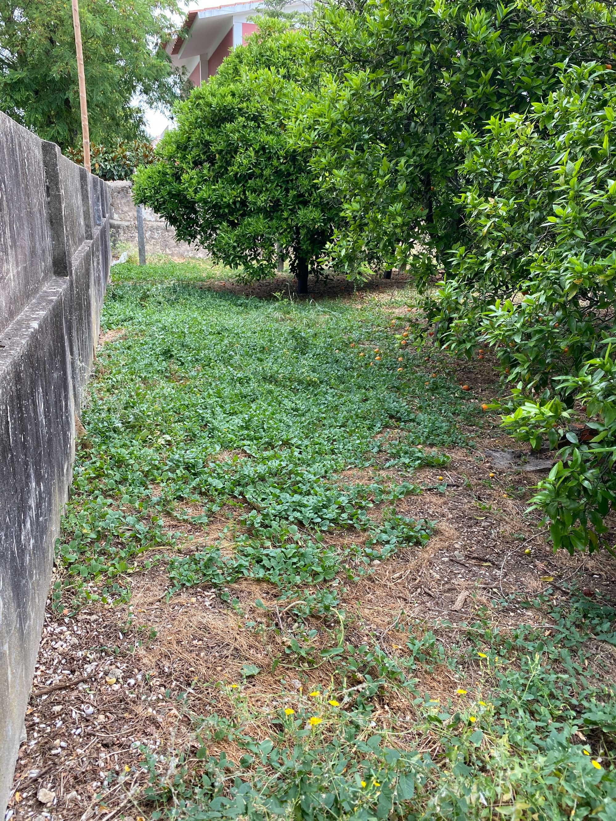 Terreno para Construção