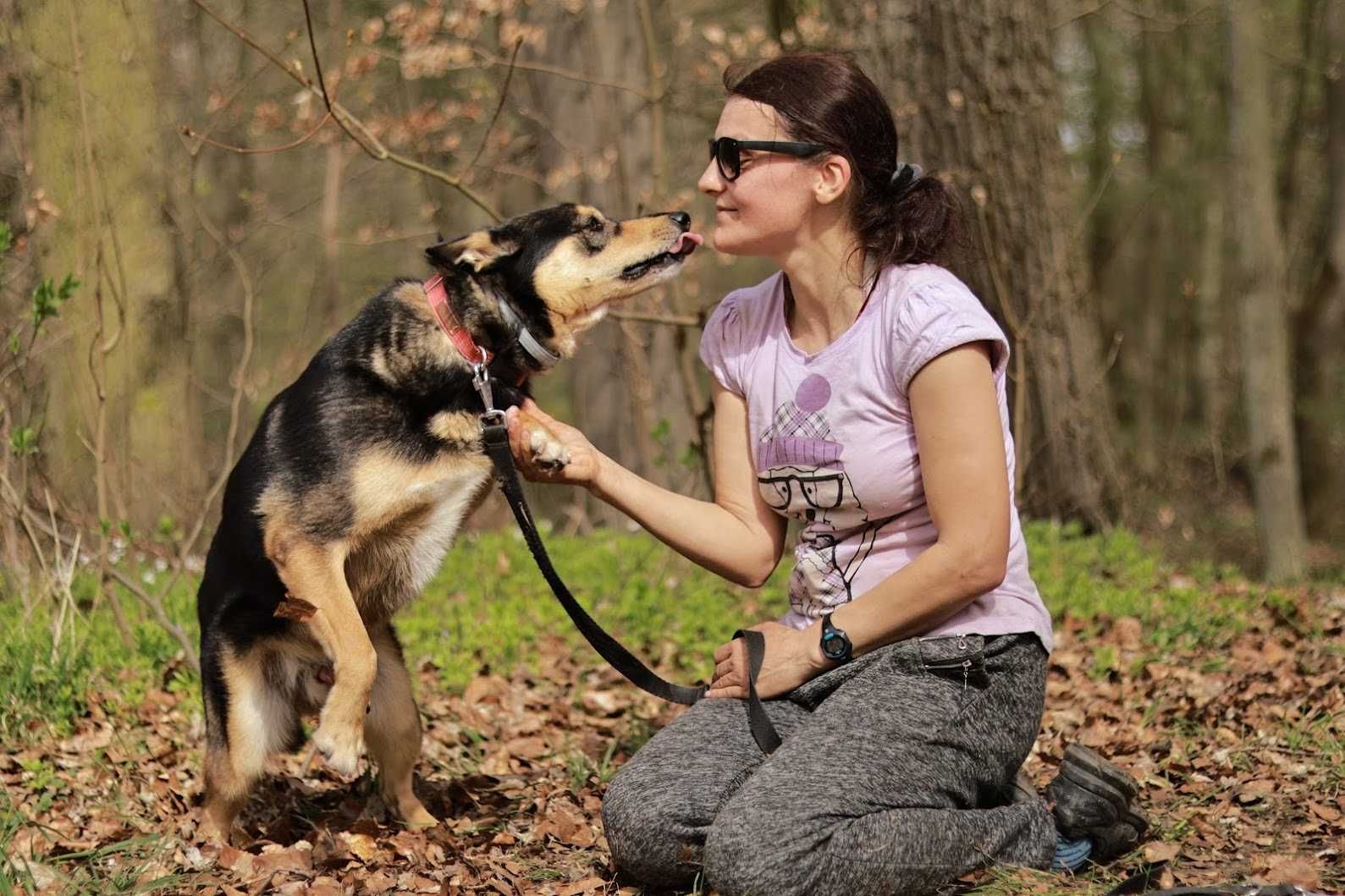 MARGO - 4-letni, 18kg, domowy, kochany [FILMIKI]