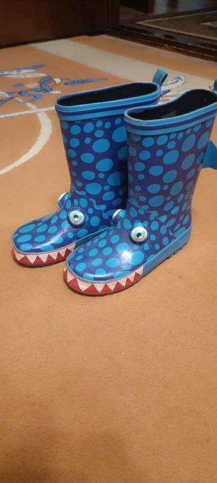 Чобітки дракончики