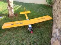 Avião de aeromodelismo a gasolina