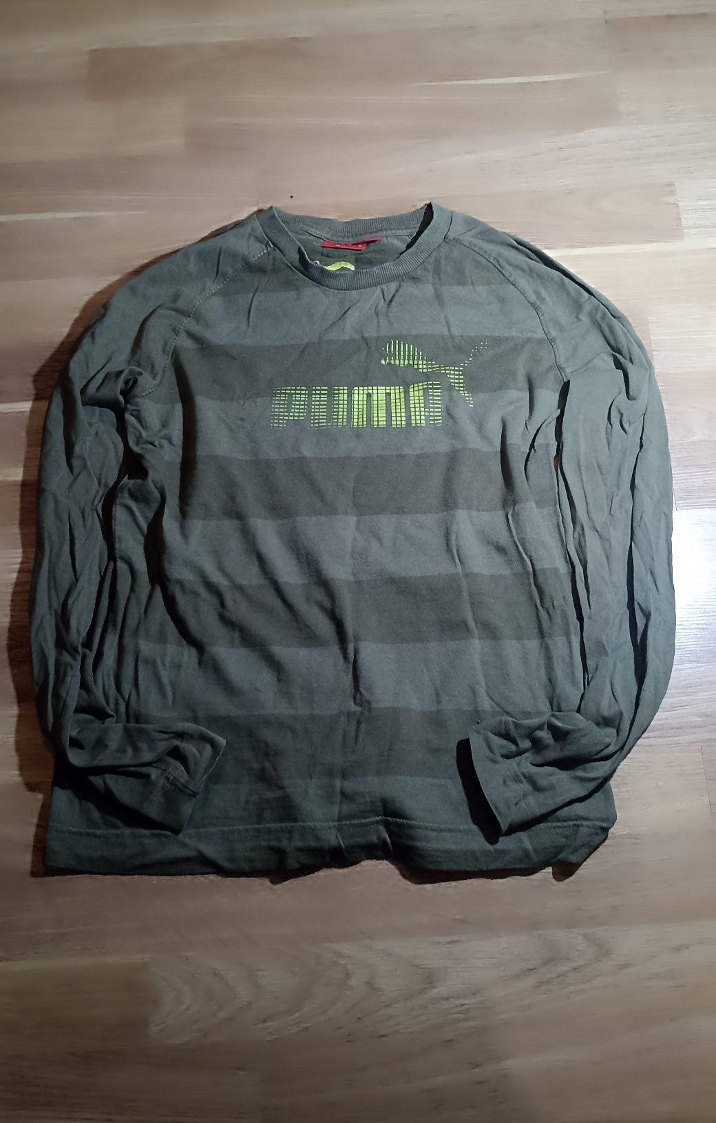 Лонслів від Puma