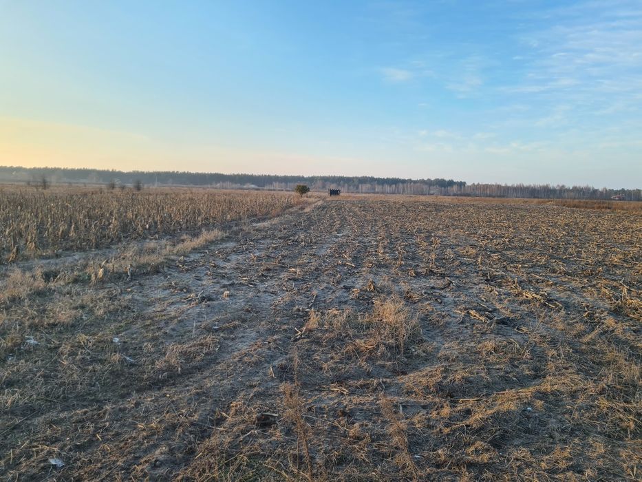 Оренда землі, 2,15га, с.Вища Дубечня,  під сад, овочі, теплиці, інше