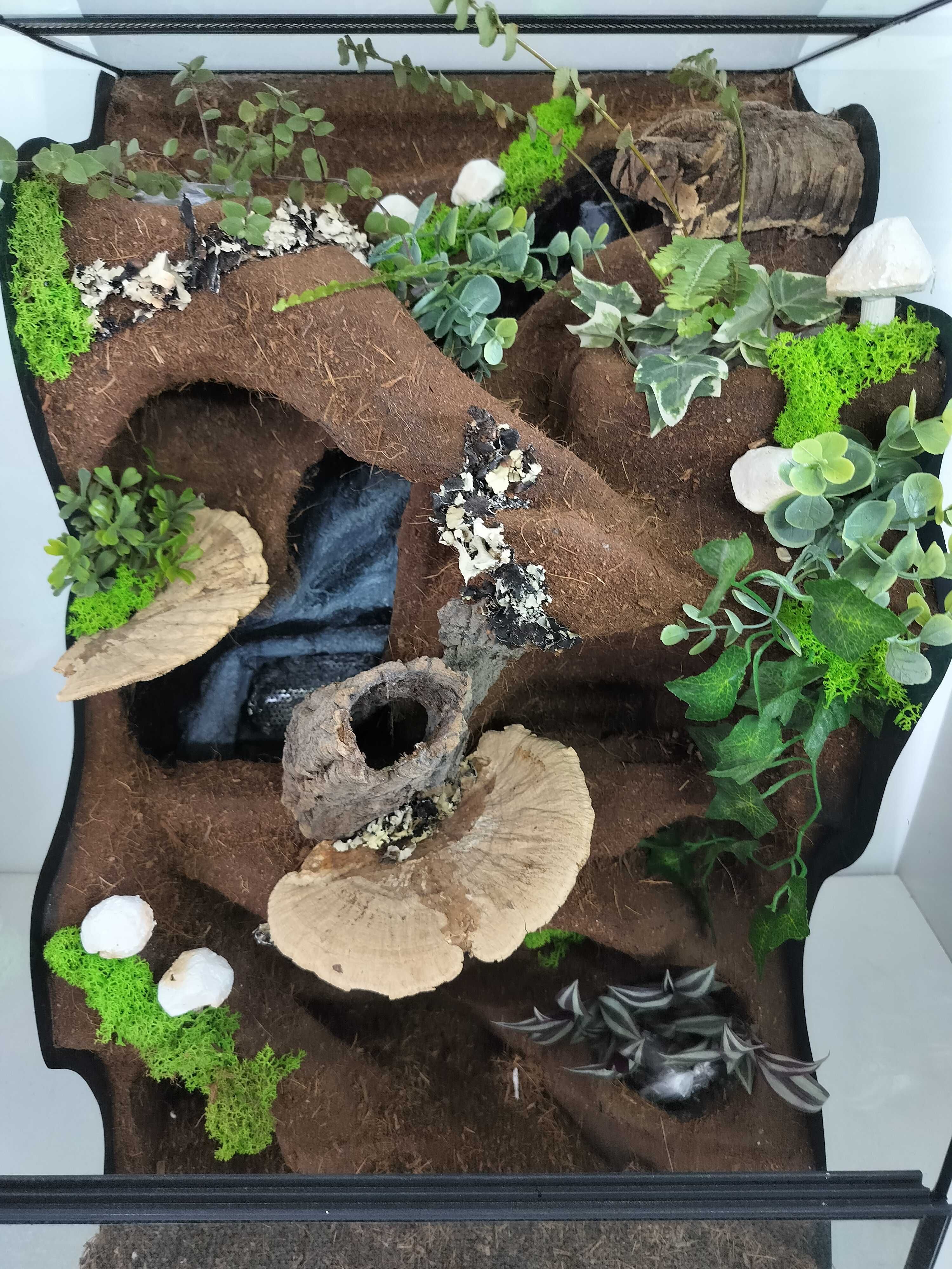 Terrarium z wodospadem i roślinami dla jaszczurek, TW43TWG, AquaWaves