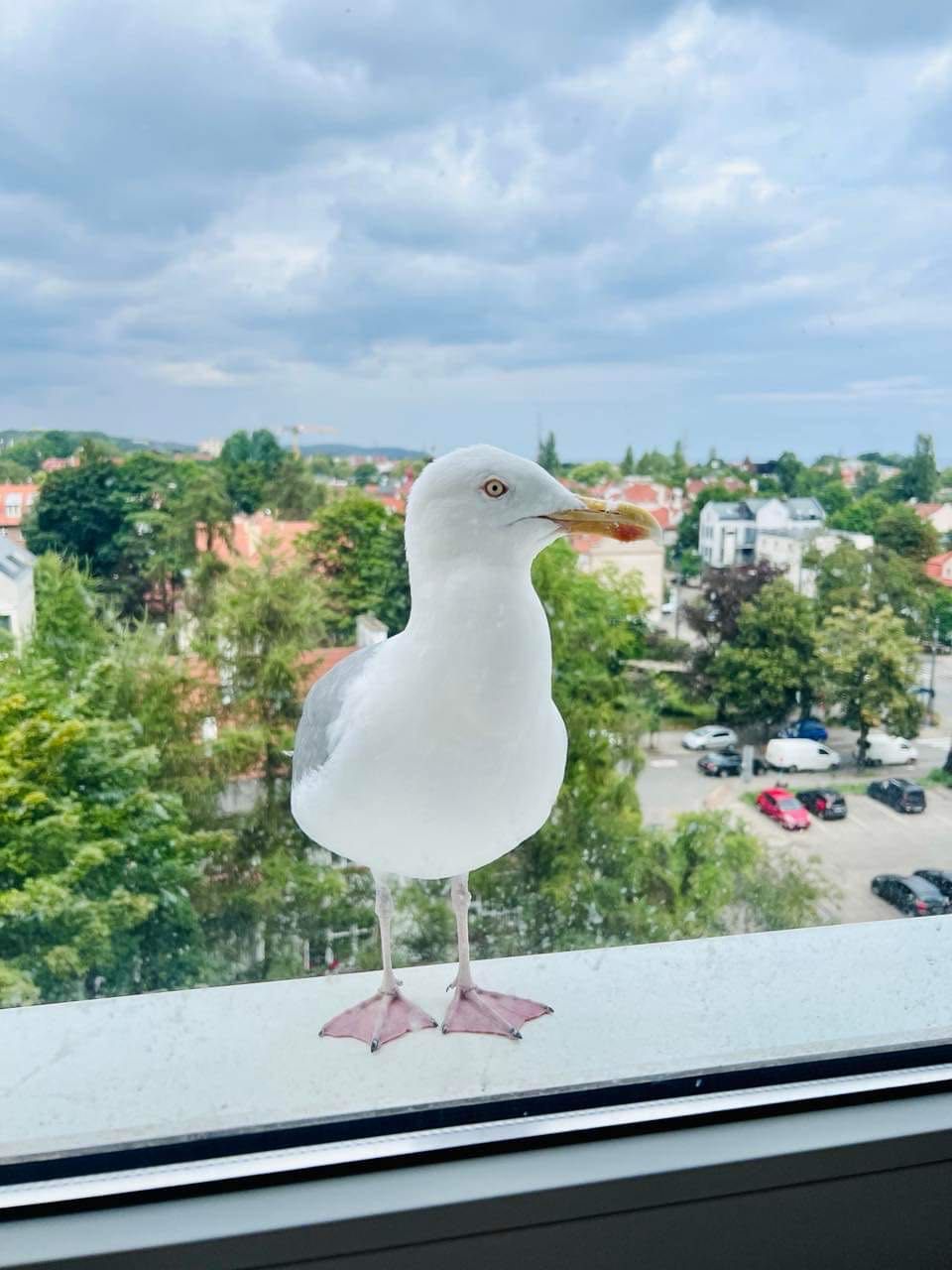 Mieszkanie w Sopocie/3-pokoje/6 osób/balkon/widok na morze/parking