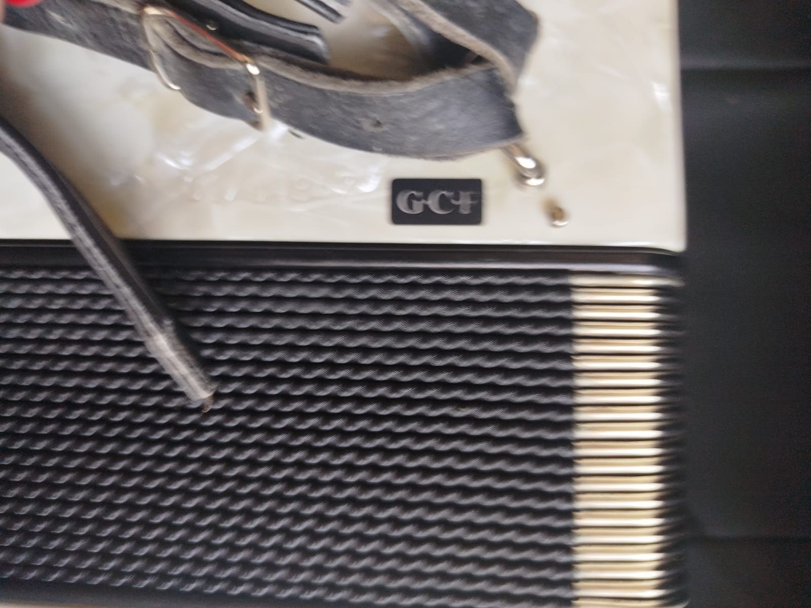 Concertina weltmeister