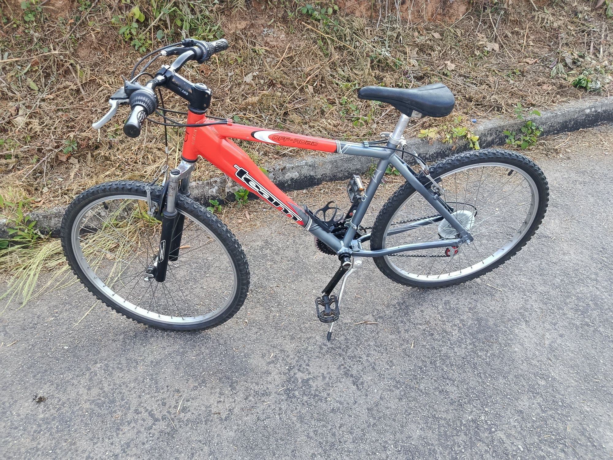 Bicicleta de montanha