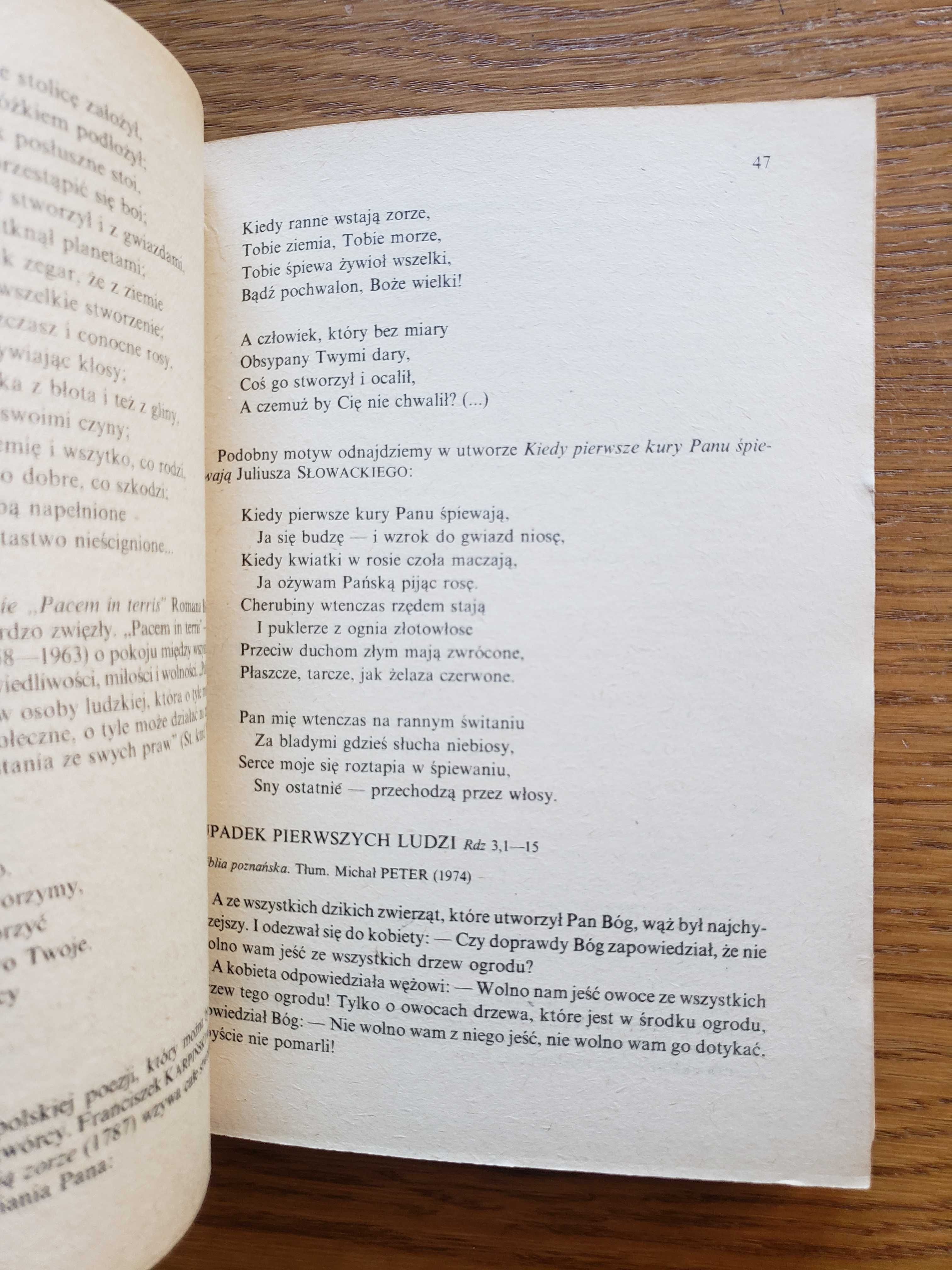 Biblia a literatura polska - Kazimierz Bukowski. Warszawa 1984