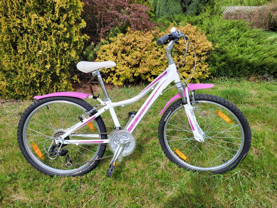 Rower giant areva koła 24, dziewczęcy, biało-różowy, stan bdb