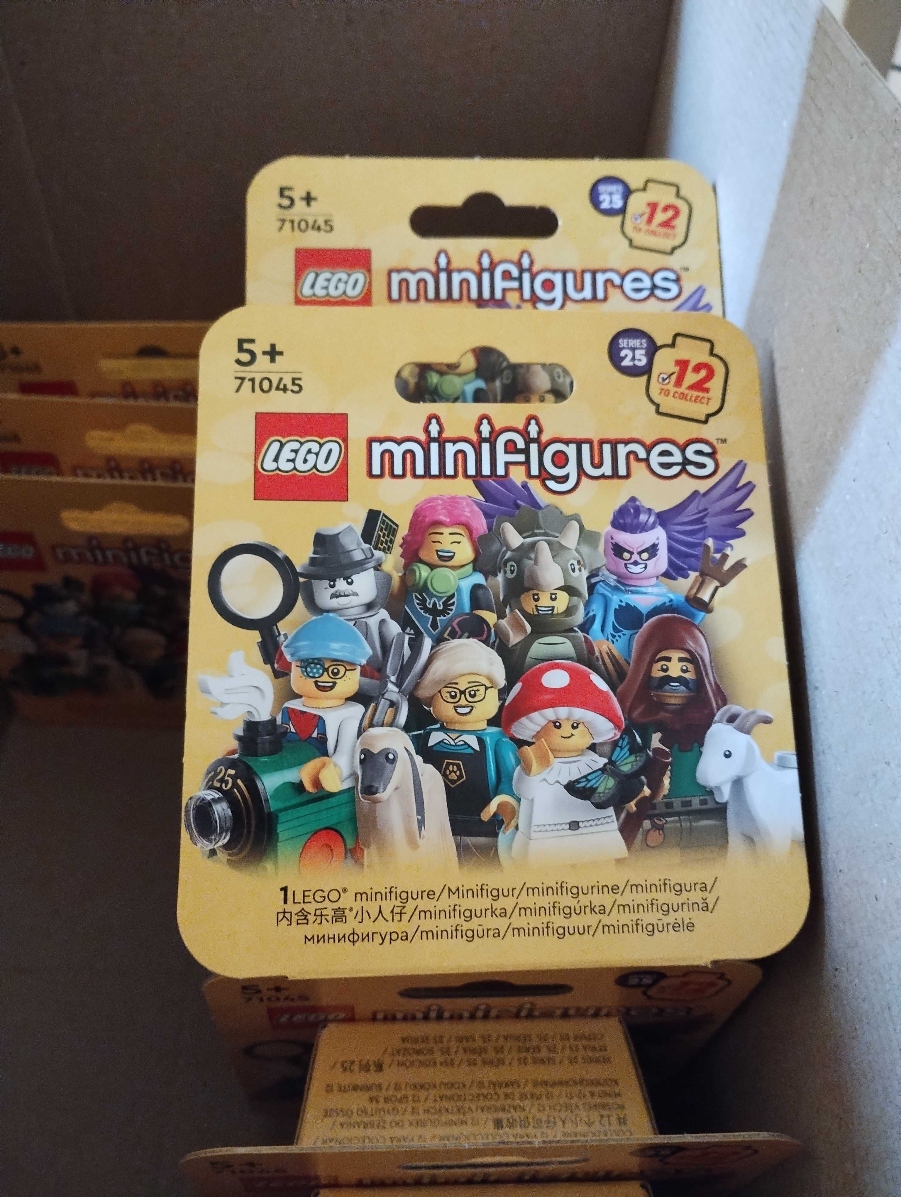 LEGO Minifigures 25, Mały miłośnik pociągów