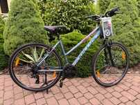 Kellys Clea 10| Szary | 28” | rama M