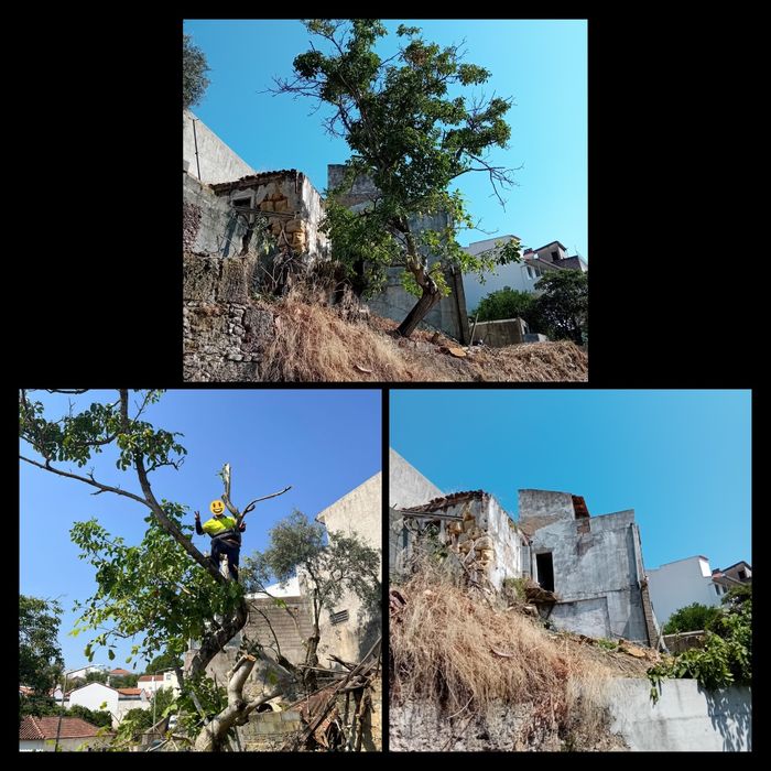 Limpeza de terrenos e quintais