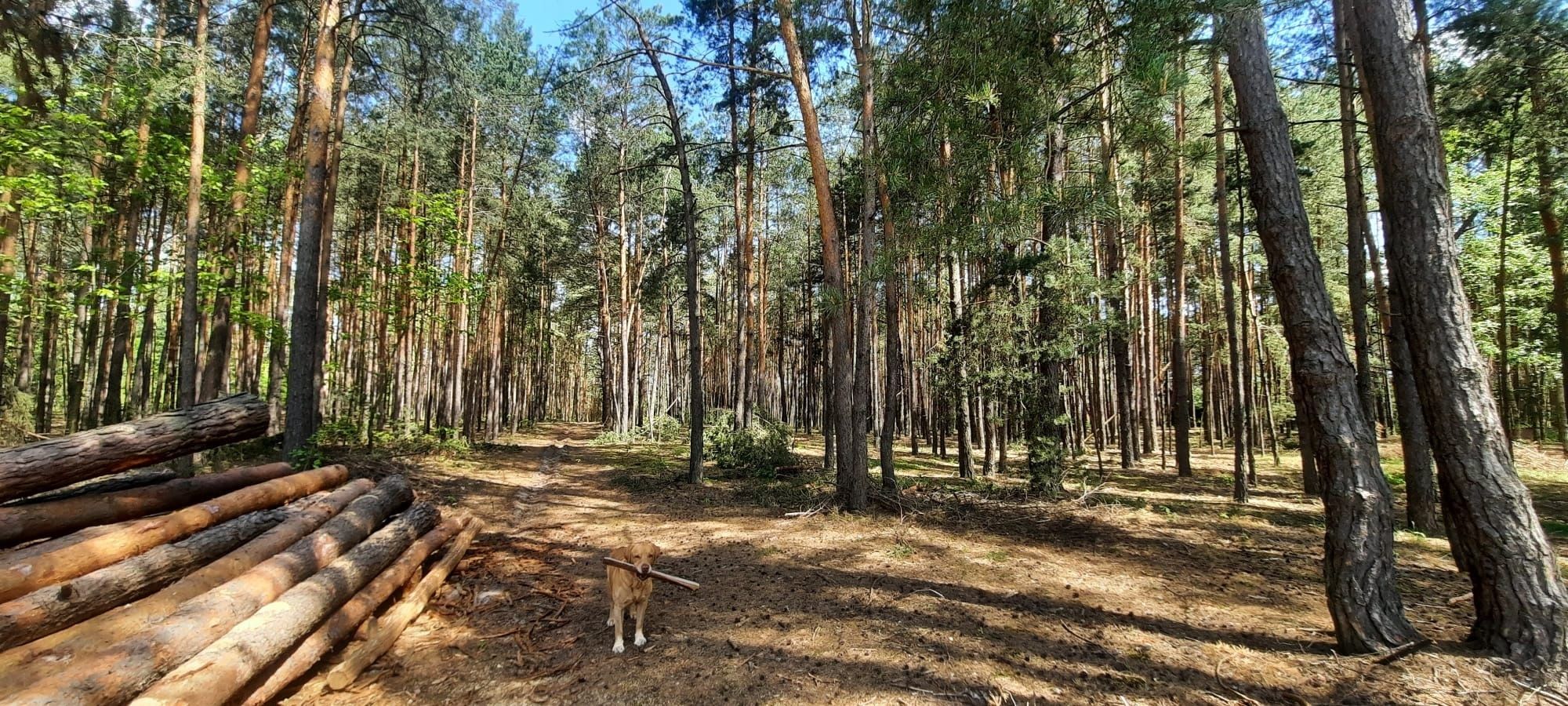 Noclegi przy Farmie Iluzji-Jabłonowiec ( 4 minuty)