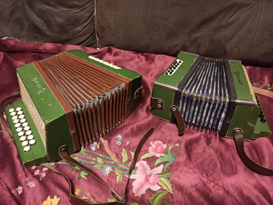 Гармонь ,, Ізяслав,, гармошка для юних гармоністів
