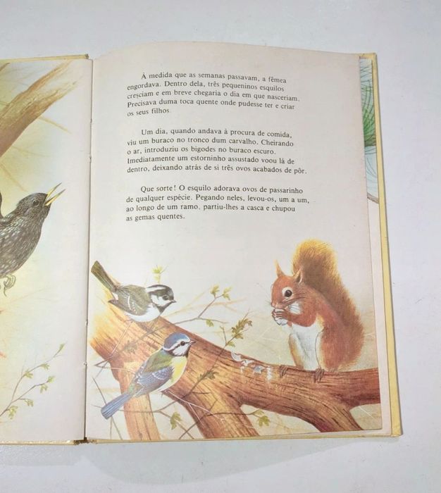 O esquilo, Colecção Vida Animal