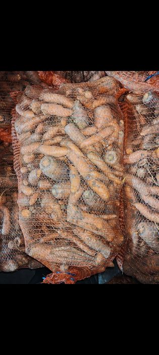 Marchew paszowa niepłukana / odpadowa