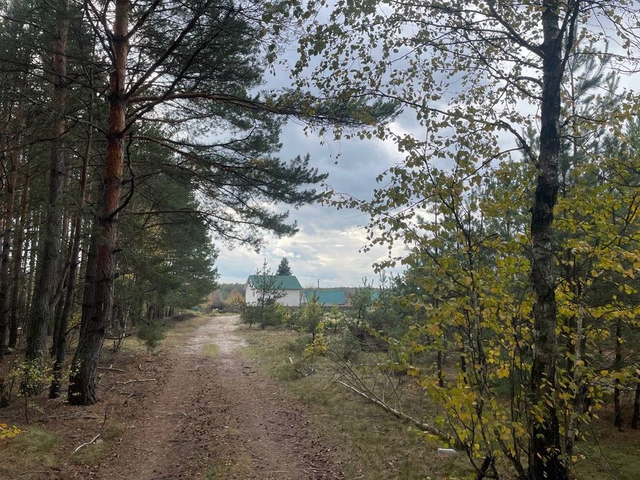 Продається земельна ділянка в с. Абрамівка, Київська область
