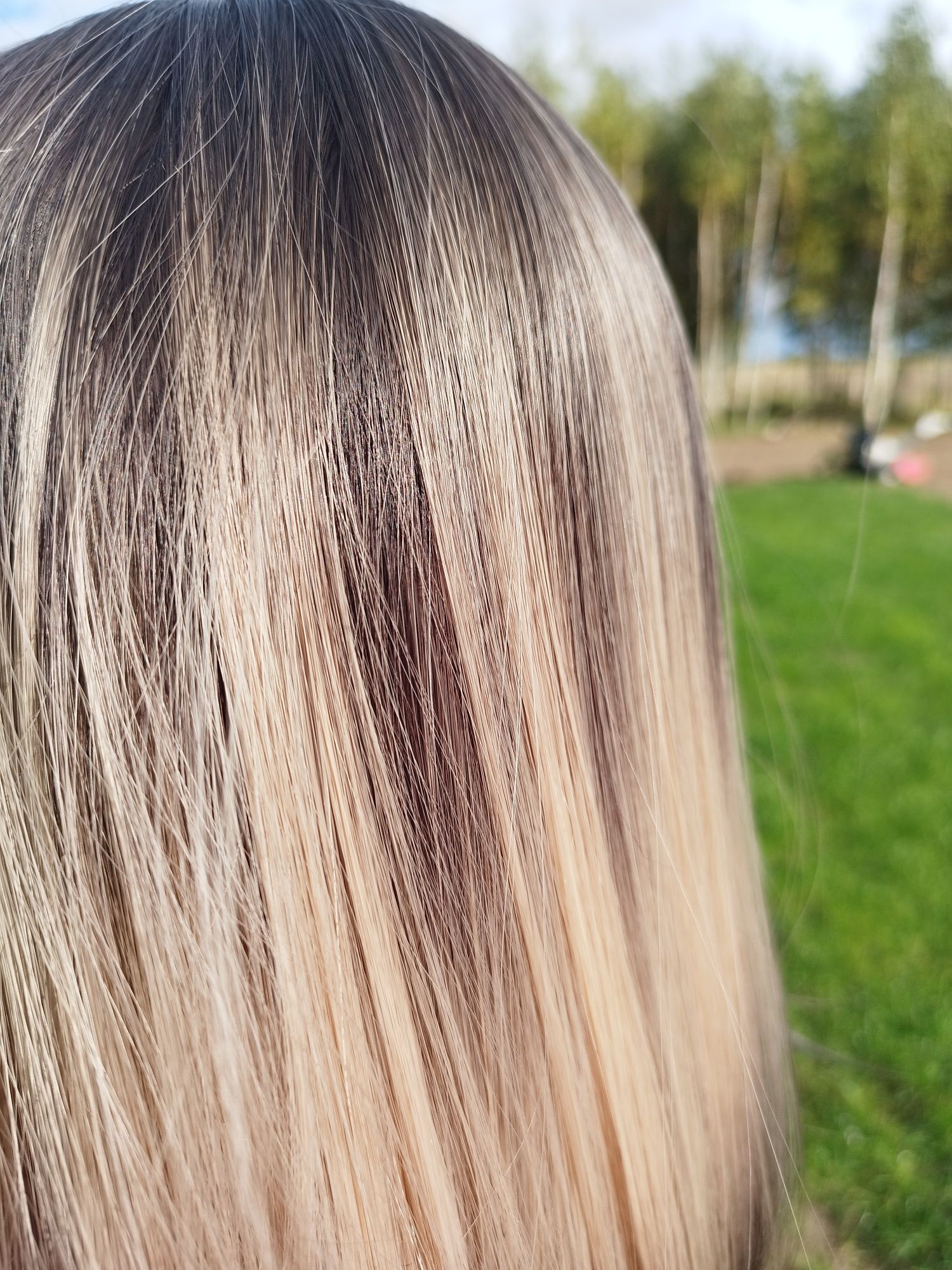 Peruka gradient góra dół