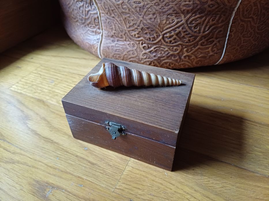 Caixinha de madeira com concha