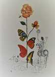 Salvador Dali - Litografias