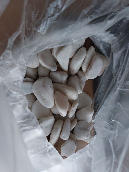 Aquário com motor e pedrinhas brancas