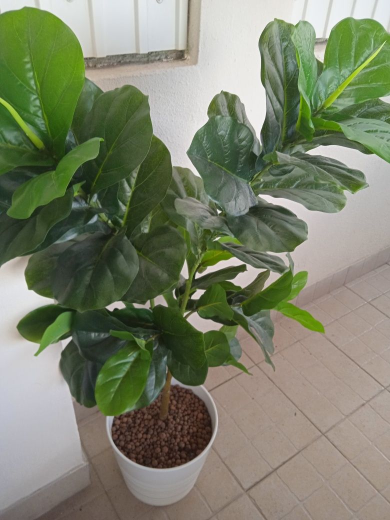 Linda Planta Artificial 120 cm - Oferta Vaso Cerâmica