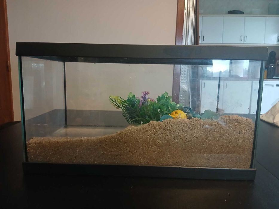 Aquário com móvel e acessórios