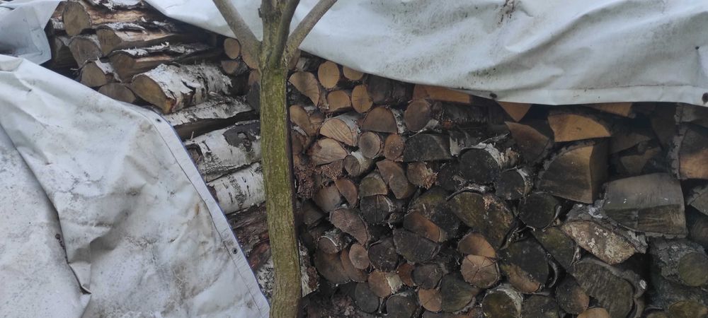 Drewno na opał Żyrardów