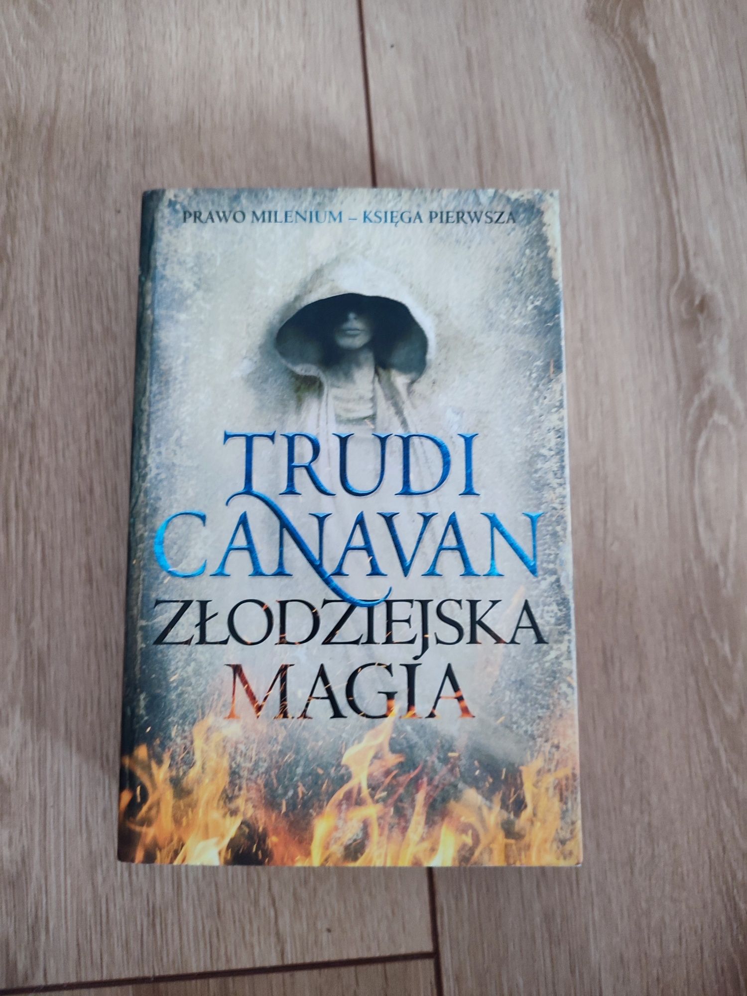 Trudi Canavan, Złodziejska Magia, tom 1 Prawo Millenium