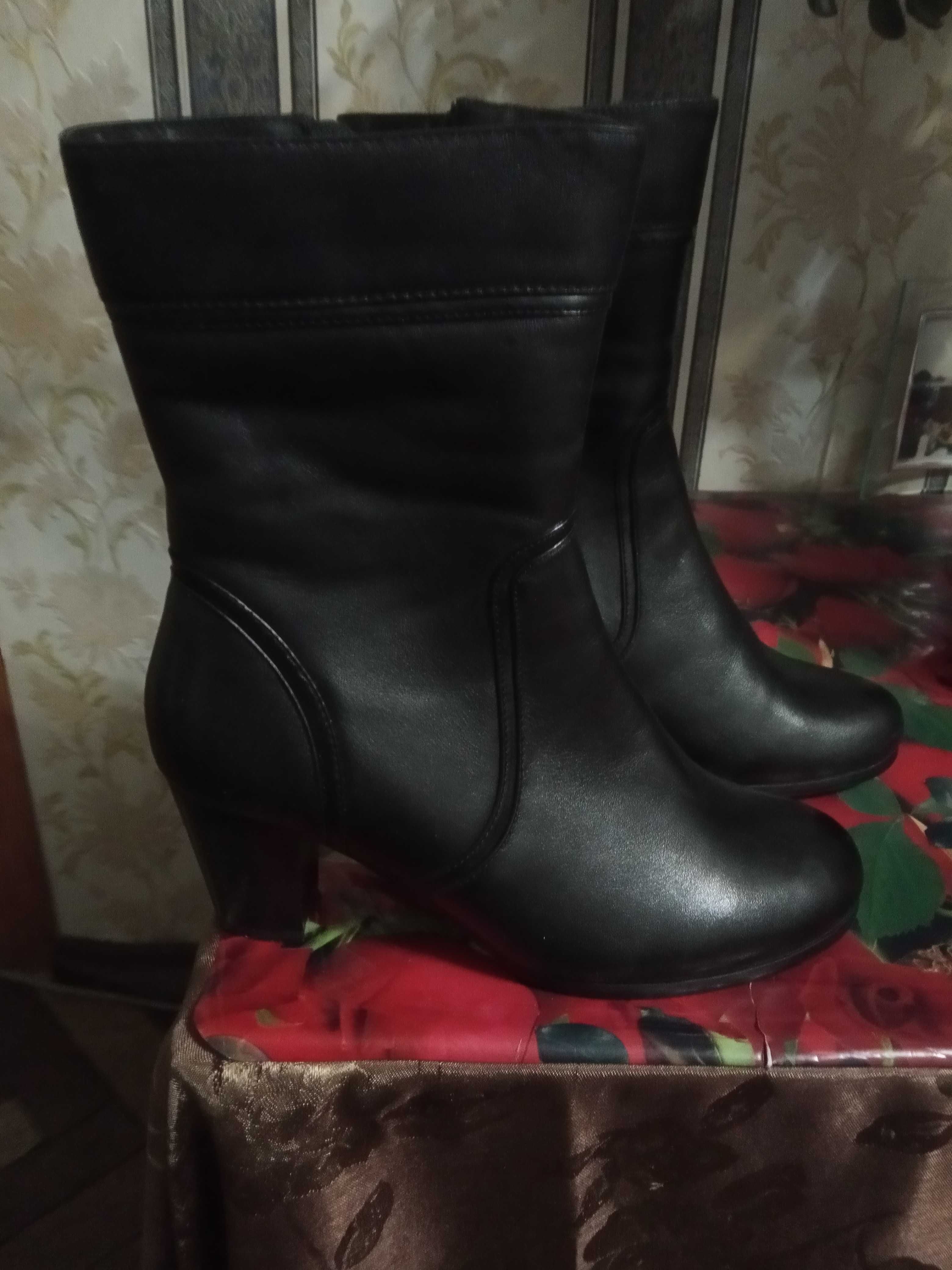 Сапоги женские демисезонные и зимние, новые, кожа.