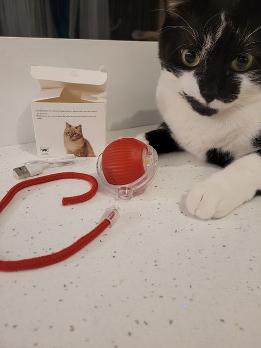 Interaktywna piłka dla kota