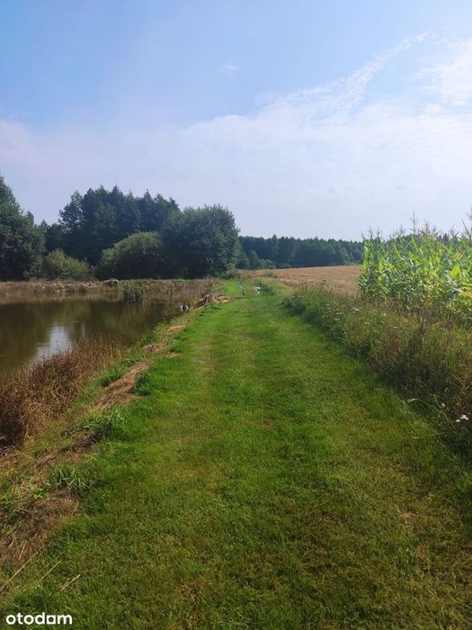 Działka rolna ze stawem we wsi Nowy Lipsk