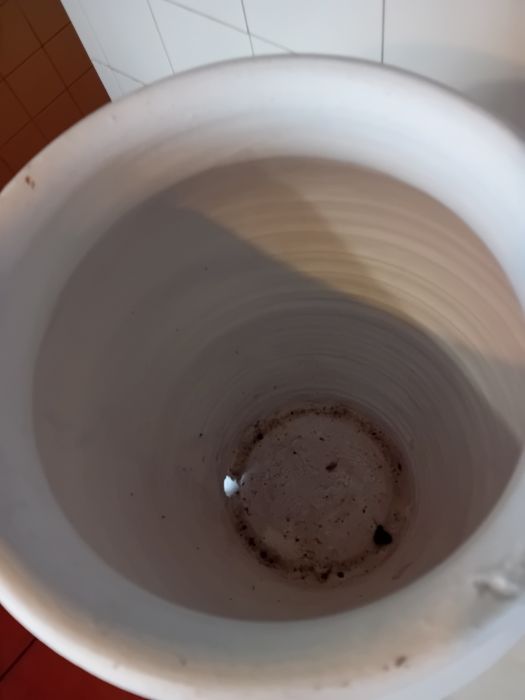 Vaso Utilitário/Decorativo