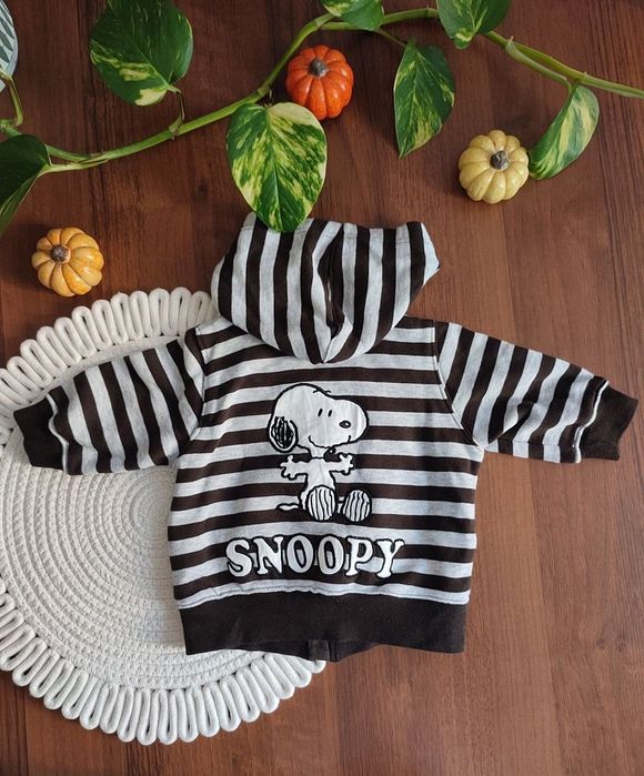 Bluza dresowa Snoopy H&M rozm 62 cm