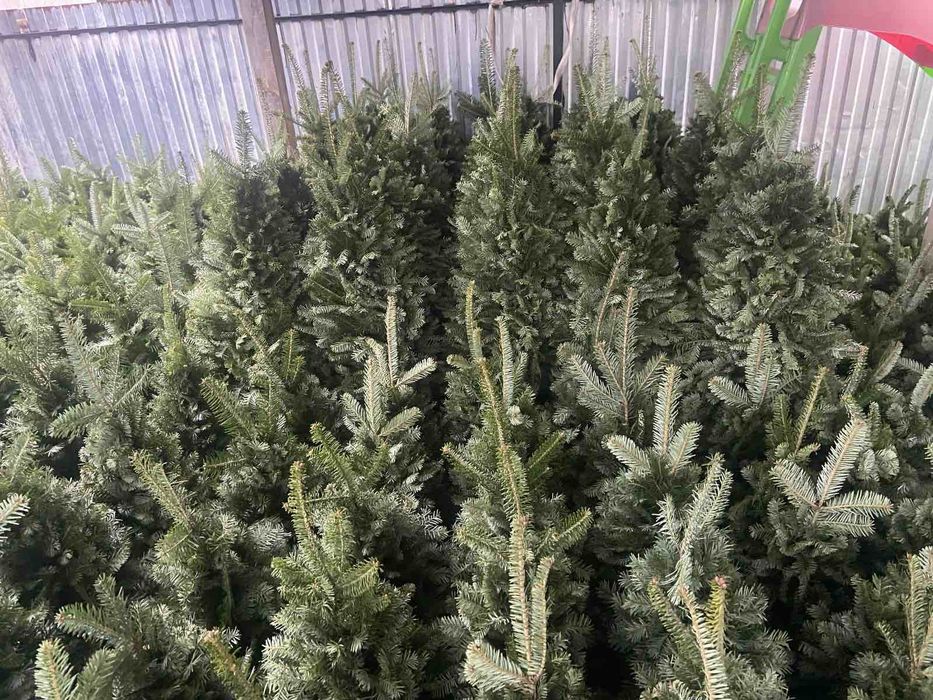 Ялинка плетана мотанка від 30см до150см