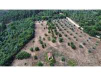 Terreno com 6 hectares, perto de Constância.