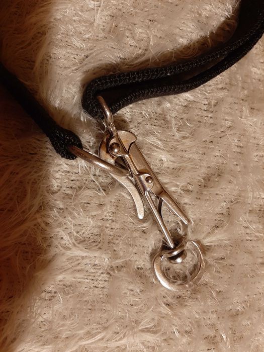 Obroża z samouwalniającym karabińczykiem