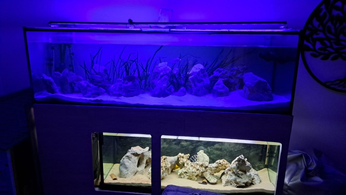 Calhas LED aquários  56 cm, extensão até 83 cm 18W - 50 €