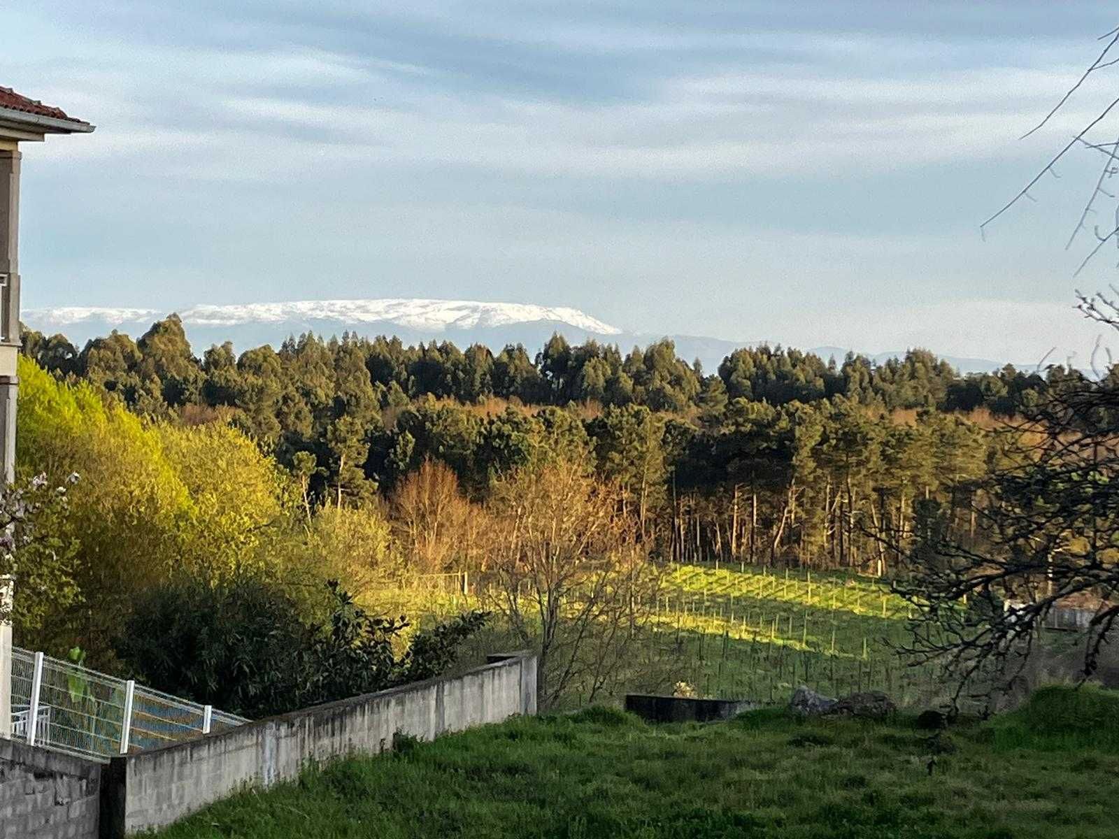 Vende-se terreno em Repeses - boa área e vista para a serra