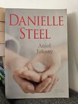Anioł Johnny - Danielle Steel