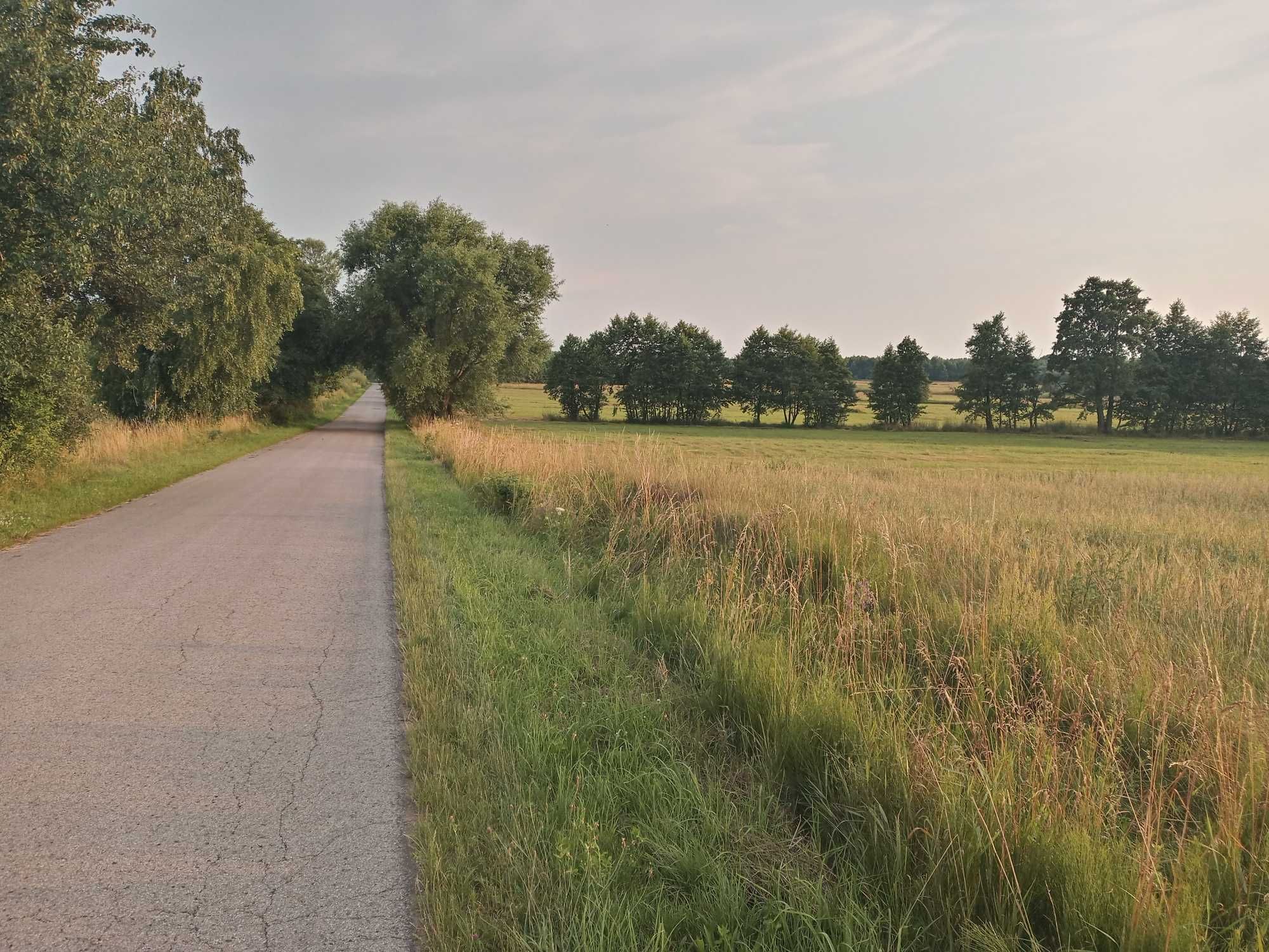 Działka  rolna 4000 m.kw przy asfalcie